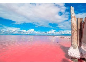 Продажа земельного участка, 70 сот., село Прибрежное, Молодёжная улица