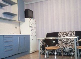Продается 1-комнатная квартира, 45.3 м2, Санкт-Петербург, метро Беговая, проспект Авиаконструкторов, 44к2