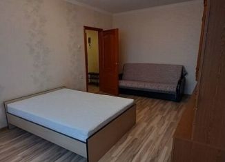 1-комнатная квартира в аренду, 45 м2, Москва, улица Гурьянова, 69к1, район Печатники