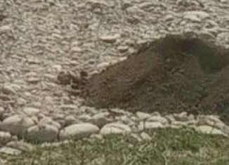 Продаю земельный участок, 20 сот., село Шалушка