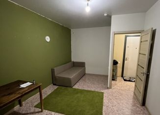 1-комнатная квартира в аренду, 28 м2, Самарская область, Губернаторская улица, 23