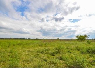 Продам земельный участок, 15 сот., село Винницкое, Молодёжная улица