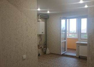 2-комнатная квартира на продажу, 41.3 м2, Рязанская область, улица Княжье Поле, 4