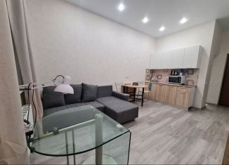 Продам квартиру студию, 24 м2, село Краевско-Армянское, Измайловская улица, 20А