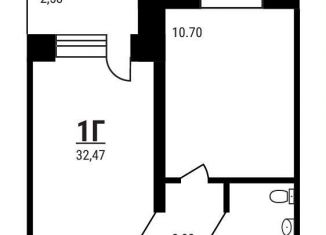 Продажа 1-комнатной квартиры, 32.5 м2, Московская область, микрорайон Дружный, 15
