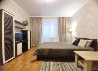 Сдается двухкомнатная квартира, 43 м2, Ленинградская область, проспект Героев, 61