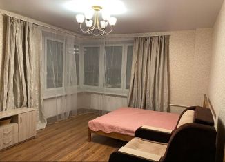 Сдается в аренду однокомнатная квартира, 40 м2, Санкт-Петербург, Екатерининский проспект, 2, метро Академическая