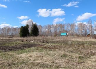 Земельный участок на продажу, 40 сот., село Новокаменка, Калужская улица, 2