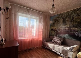 Аренда 3-комнатной квартиры, 58 м2, Татарстан, Центральная улица, 28