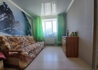 Продам 1-комнатную квартиру, 27 м2, Михайловск, улица Ишкова, 89