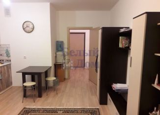Квартира в аренду студия, 31 м2, Екатеринбург, улица Цвиллинга, 58