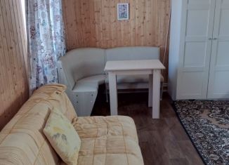 Сдается в аренду дом, 30 м2, Крым, Летняя улица