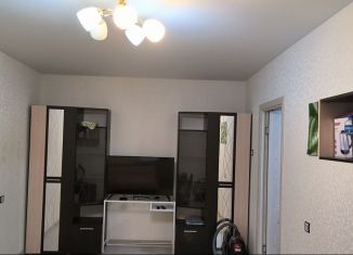 1-комнатная квартира в аренду, 40 м2, Санкт-Петербург, проспект Просвещения, 53к1, метро Озерки