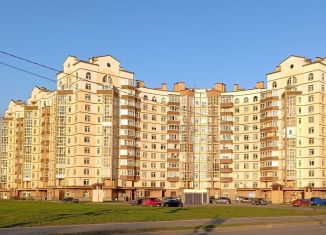 Продается однокомнатная квартира, 37.1 м2, Санкт-Петербург, улица Солдата Корзуна, 4, ЖК Александрино