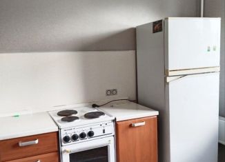 Сдача в аренду двухкомнатной квартиры, 54 м2, Новосибирская область, улица Серафимовича, 15