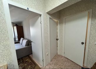 Сдается 1-комнатная квартира, 33 м2, Шелехов, 3-й микрорайон, 21