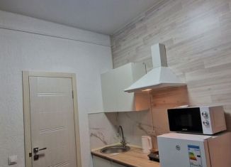 Сдаю в аренду квартиру студию, 16 м2, Лобня, Железнодорожная улица, 14