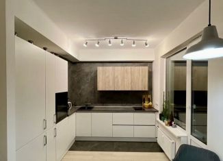 Сдам в аренду 2-ком. квартиру, 53.1 м2, Сертолово, Златоглавая улица, 5к1