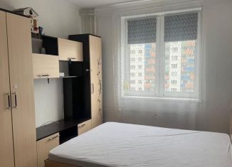 Аренда 1-ком. квартиры, 30 м2, Мурино, Воронцовский бульвар, 14к1, ЖК Краски Лета