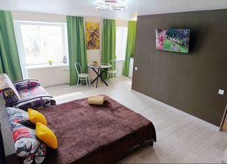 Сдам в аренду квартиру студию, 35 м2, Омск, бульвар Победы, 1