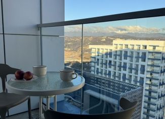 Сдается в аренду квартира студия, 18 м2, Сочи, Ясногорская улица, 16/2к7, микрорайон Бытха