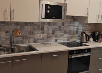 Двухкомнатная квартира в аренду, 64 м2, деревня Новое Девяткино, Озёрная улица, 8