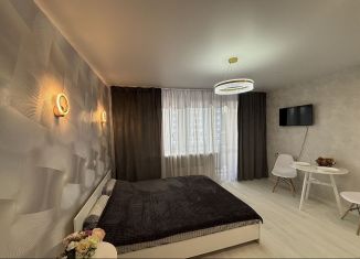 Сдача в аренду квартиры студии, 28 м2, Республика Башкортостан, улица Воинов-Интернационалистов, 5