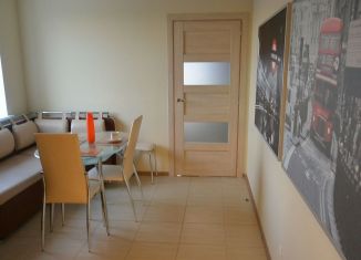 Сдается однокомнатная квартира, 33.6 м2, Санкт-Петербург, проспект Металлистов, 117, Калининский район