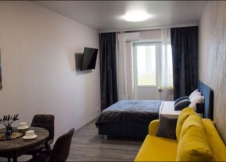 Сдаю в аренду квартиру студию, 30 м2, Владимир, 1-я Пионерская улица, 82