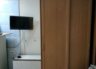 Квартира в аренду студия, 14 м2, Екатеринбург, Тальковая улица, 6, метро Ботаническая