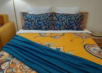 Аренда однокомнатной квартиры, 40 м2, Йошкар-Ола, улица Чернякова, 3, микрорайон 9Б