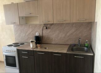 Сдача в аренду 1-ком. квартиры, 43 м2, Краснодар, улица имени П.М. Гаврилова, 27/1, ЖК Триумф