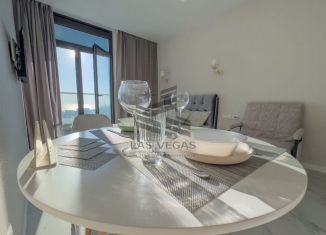 Аренда 1-комнатной квартиры, 24 м2, Сочи, Ясногорская улица, 16/2к1, микрорайон Бытха