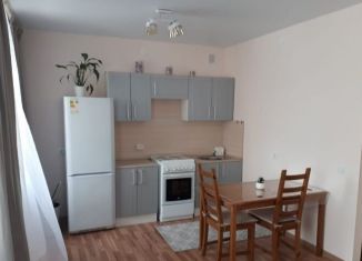 Сдам в аренду квартиру студию, 26 м2, Новосибирск, улица Юности, 3, Ленинский район