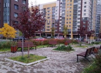 Сдается квартира студия, 27 м2, Санкт-Петербург, Среднерогатская улица, 9, муниципальный округ Звёздное