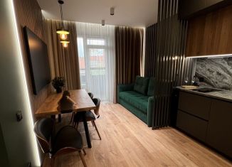 Аренда 2-ком. квартиры, 40 м2, Новосибирск, улица Немировича-Данченко, 167/2, метро Площадь Маркса