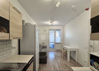 Продам 1-комнатную квартиру, 28.1 м2, Санкт-Петербург, Северный проспект, 123к1, метро Гражданский проспект