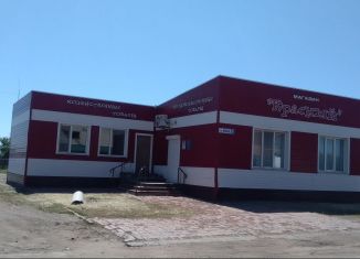 Продается торговая площадь, 152 м2, Алтайский край, Новая улица, 1