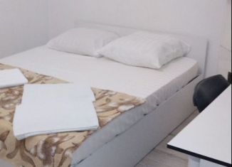 Комната в аренду, 12 м2, Санкт-Петербург, Гороховая улица, 32, метро Сенная площадь