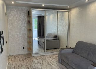 Продаю 1-комнатную квартиру, 32 м2, Нижний Новгород, улица Ивана Чугурина, 4, метро Буревестник