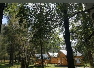 Сдается в аренду дом, 16 м2, село Каракол