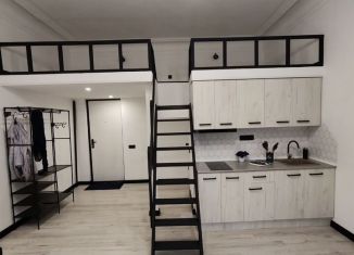 Продам квартиру студию, 35 м2, Санкт-Петербург, Малая Посадская улица, 19, Петроградский район