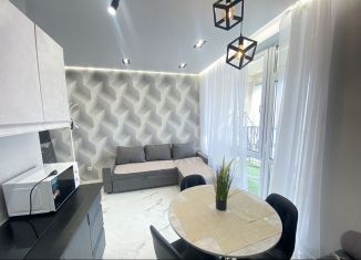 Квартира в аренду студия, 30 м2, Татарстан, улица Аделя Кутуя, 100