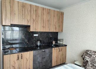 Аренда 1-ком. квартиры, 30 м2, Краснодар, улица Генерала Трошева, 21, микрорайон Восточно-Кругликовский