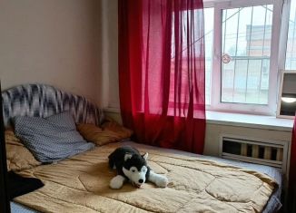 Сдам квартиру студию, 12 м2, Череповец, улица Чкалова, 26