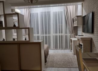 Сдается в аренду квартира студия, 37 м2, Сочи, Орбитовская улица, 20/7Б, микрорайон Энергетик-Изумруд