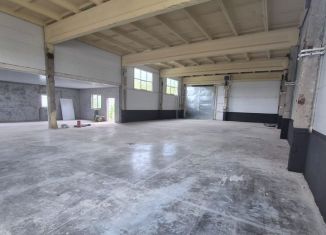 Сдаю в аренду производство, 350 м2, Пензенская область, улица Новосёлов, 453