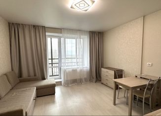 Продается квартира студия, 27.9 м2, Санкт-Петербург, Дизельный проезд, 11к1, ЖК Две Столицы