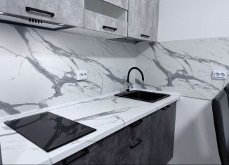 Сдаю квартиру студию, 25 м2, Северодвинск, Беломорский проспект, 3Ак1