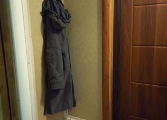 Сдача в аренду дома, 27 м2, деревня Пирогово, Центральная улица, 15